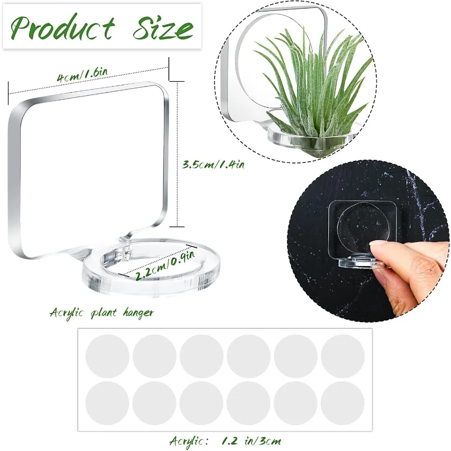12 قطعة من حامل نباتات الهواء الأكريليك مع شريط تثبيت لتعليق نباتات الهواء على شاشة عرض زجاجية للمنزل #2