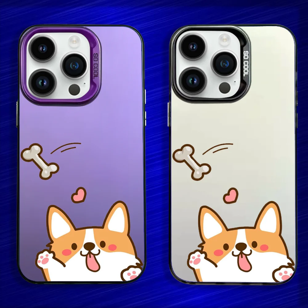 Cute Koki Corgi Dog… - image