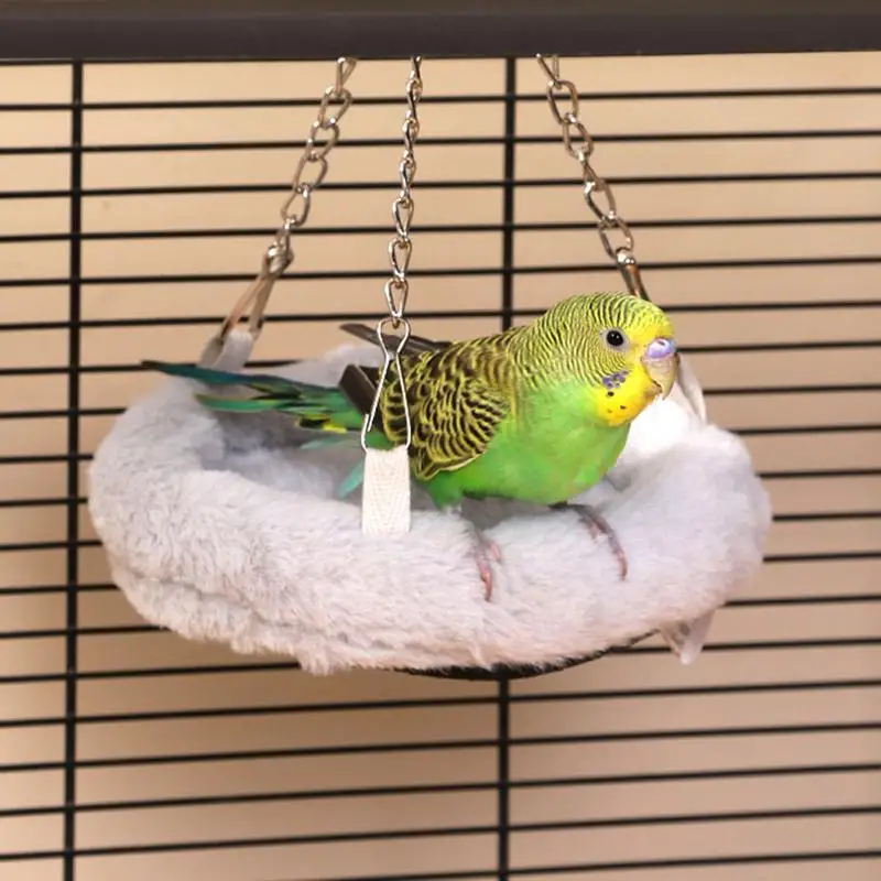 Parakeet Bed Parake… - image