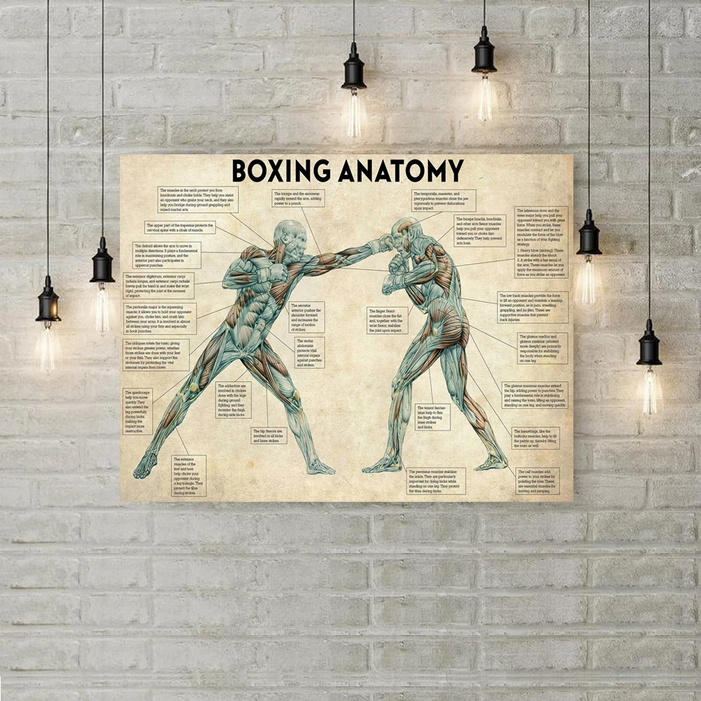 Boxing Anatomy Vintage Canvas Paintings on the Wall Art Boxing Posters and Prints Boxing Inspiring Pictures Home Decor Cuadros