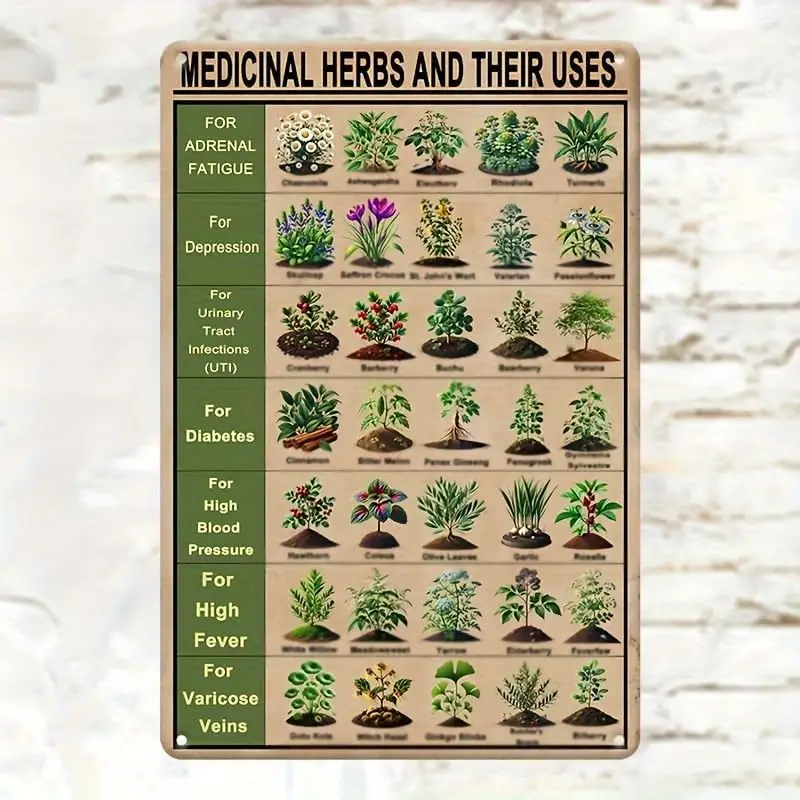 Vintage Style Medicinal Herbs and Their Uses Metal Tin Sign - Waterproof Iron Wall Hanging Decorative Plaque for Indoor ; Outdoo