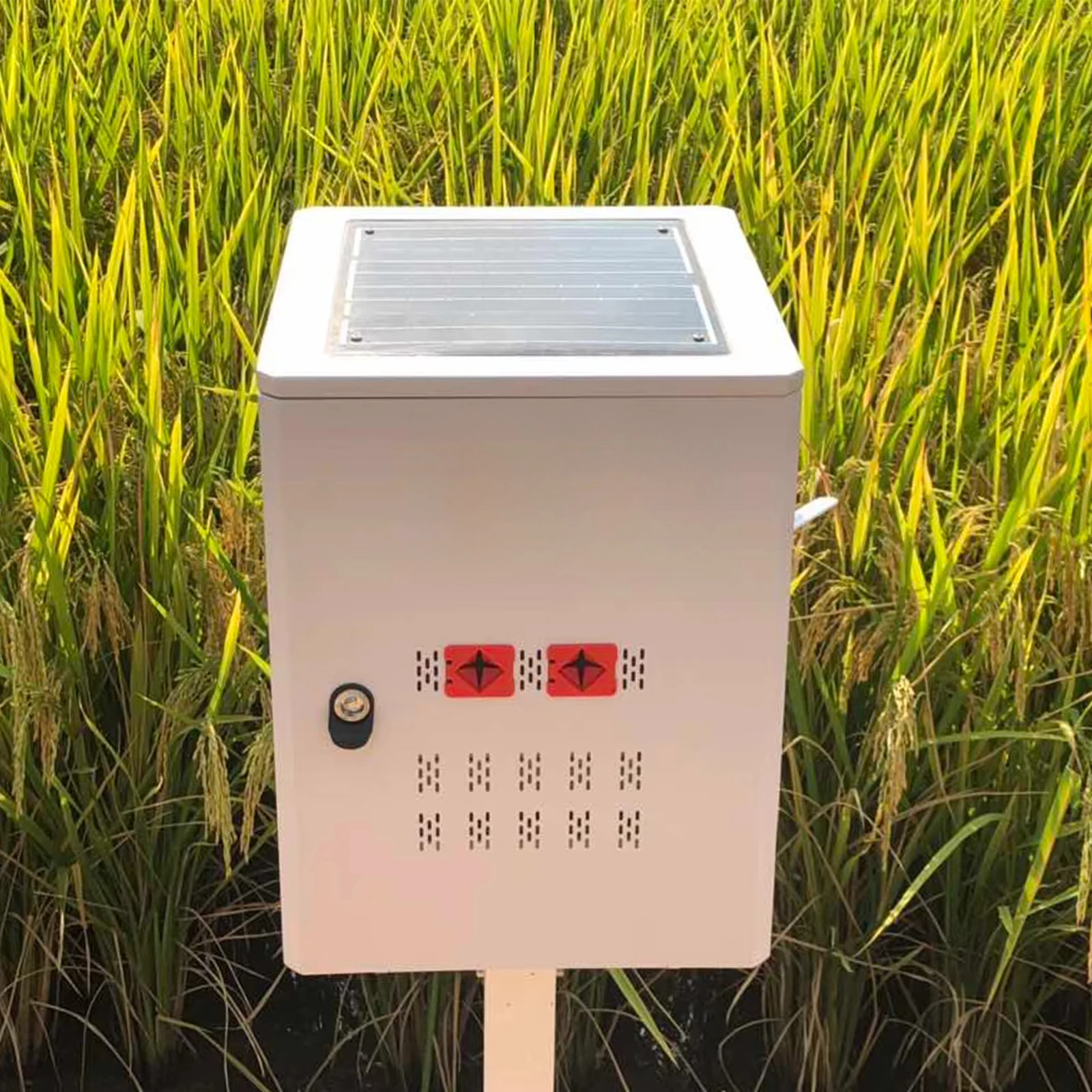 Insect Forecasting System for Agriculture and Forestry