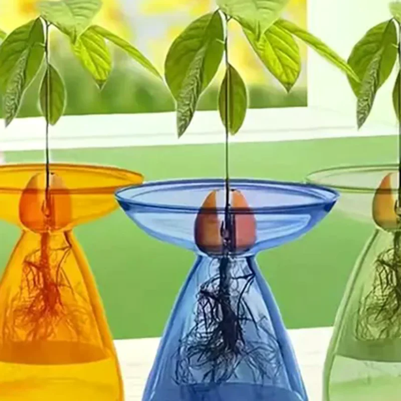 Colorful Transparent Avocado Hydroponic Vase Glass Avocado Seed Starter Vase Plant Seed Growing Kit Gardening Lovers Home Decor