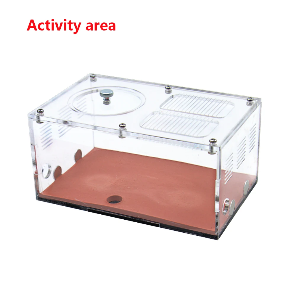 Acryl Mier Boerderij Temperatuurregeling Beton Mier Nest Oneindige Uitbreiding Insect Huis Kolonie Drinker Anthill Kit Accessoires - afbeelding 1
