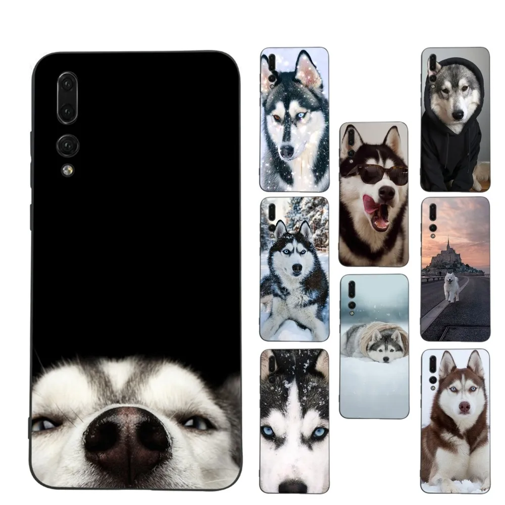 Husky dog Phone Case For Huawei P 8 9 10 20 30 40 50 Pro Lite Psmart Honor 10 lite 70 Mate 20lite