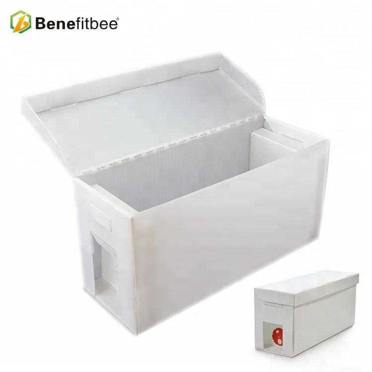 

Corrugated PP Nuc Box 5 Frame Queen Bee Mating Box Corflute Plastic Bee Hive Lightweight Durable Beekeeping Equipment