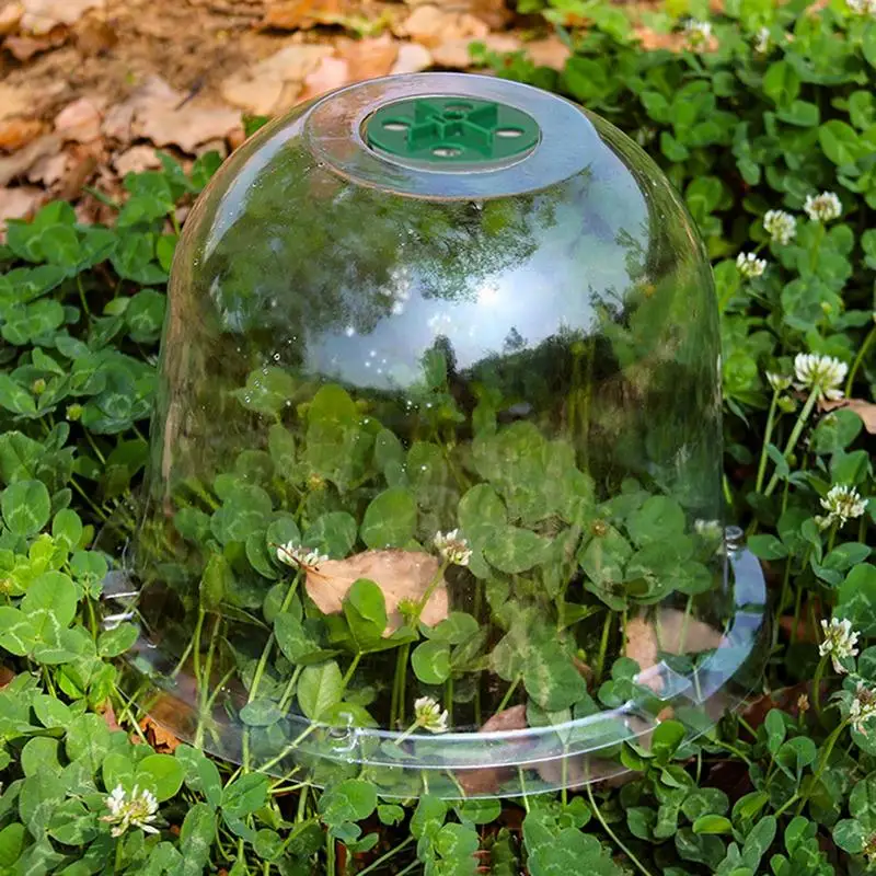 Plant Humidity Dome 10PCS Garden Cloche Propagation Dome Transparent Adjustable Garden Cloches For Observe Growth Prevents