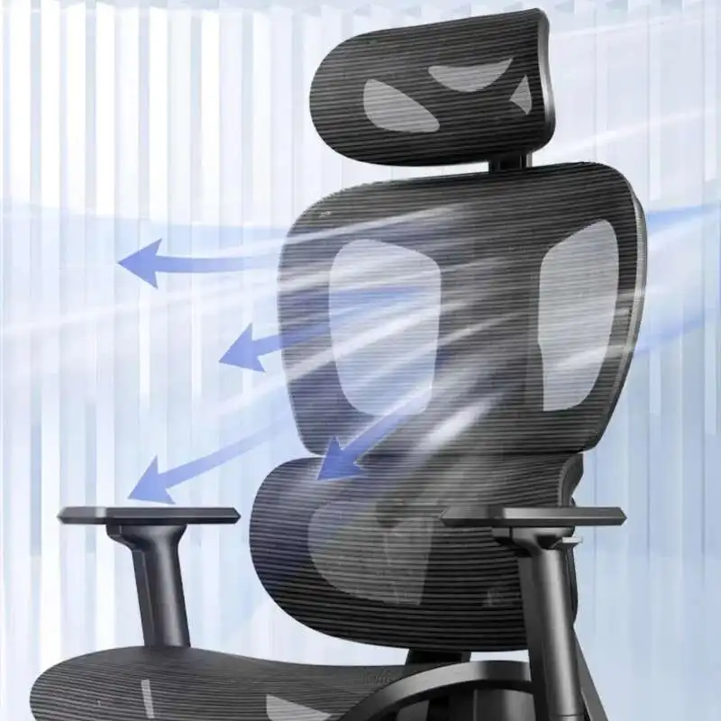 

Esports Home Office Chairs Adjust Sedentary Comfort Office Chairs Backrest Computer Sillas De Oficina Commerce Furniture QF50OC
