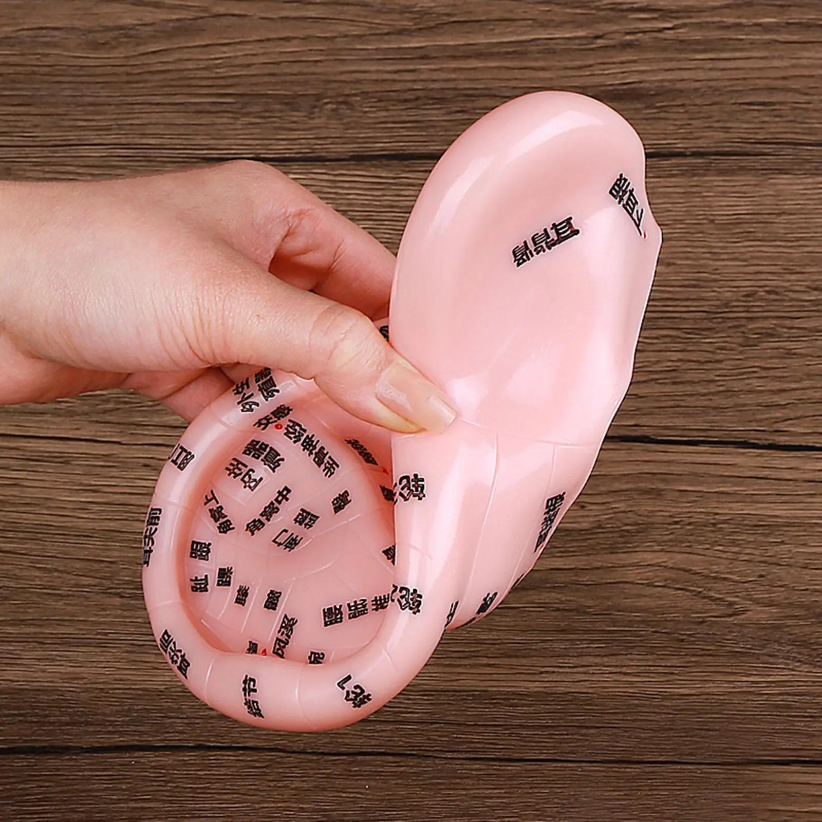 

Реквизит для акупунктурных точек человеческого уха, инструмент для моделирования, массажа, обучающее пособие для обучения, кормления, массажная практика, демонстрация