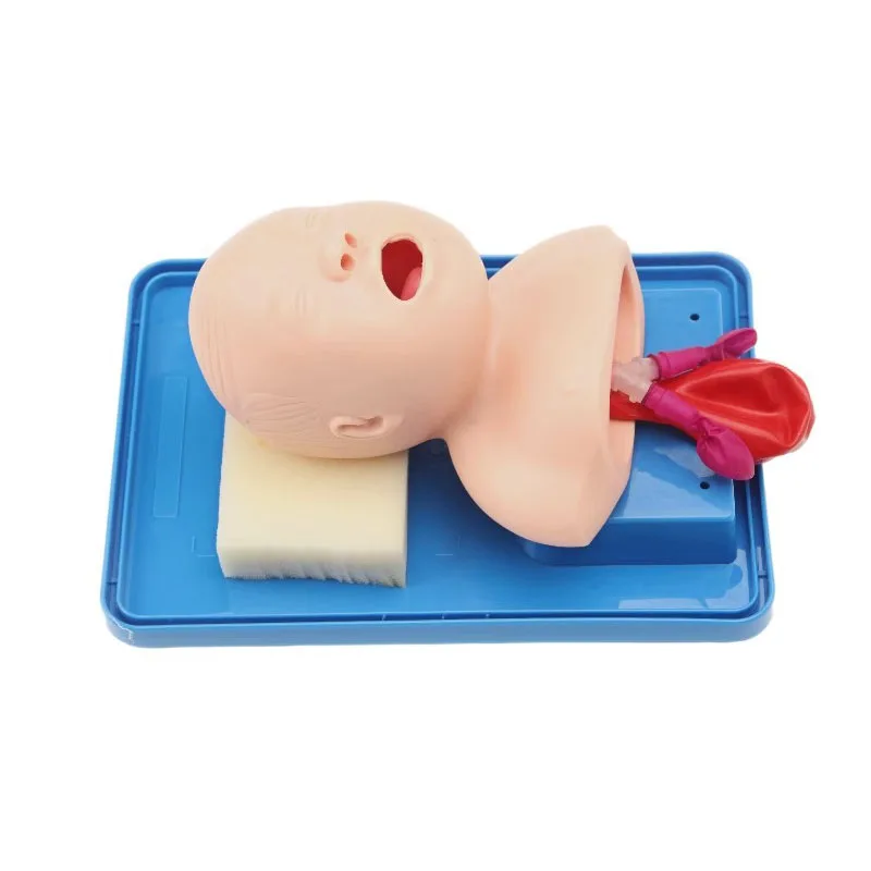 Neonatal Infant Tracheal Intubation Model Simulator Newborn Tracheal Intubation Training Mannequin