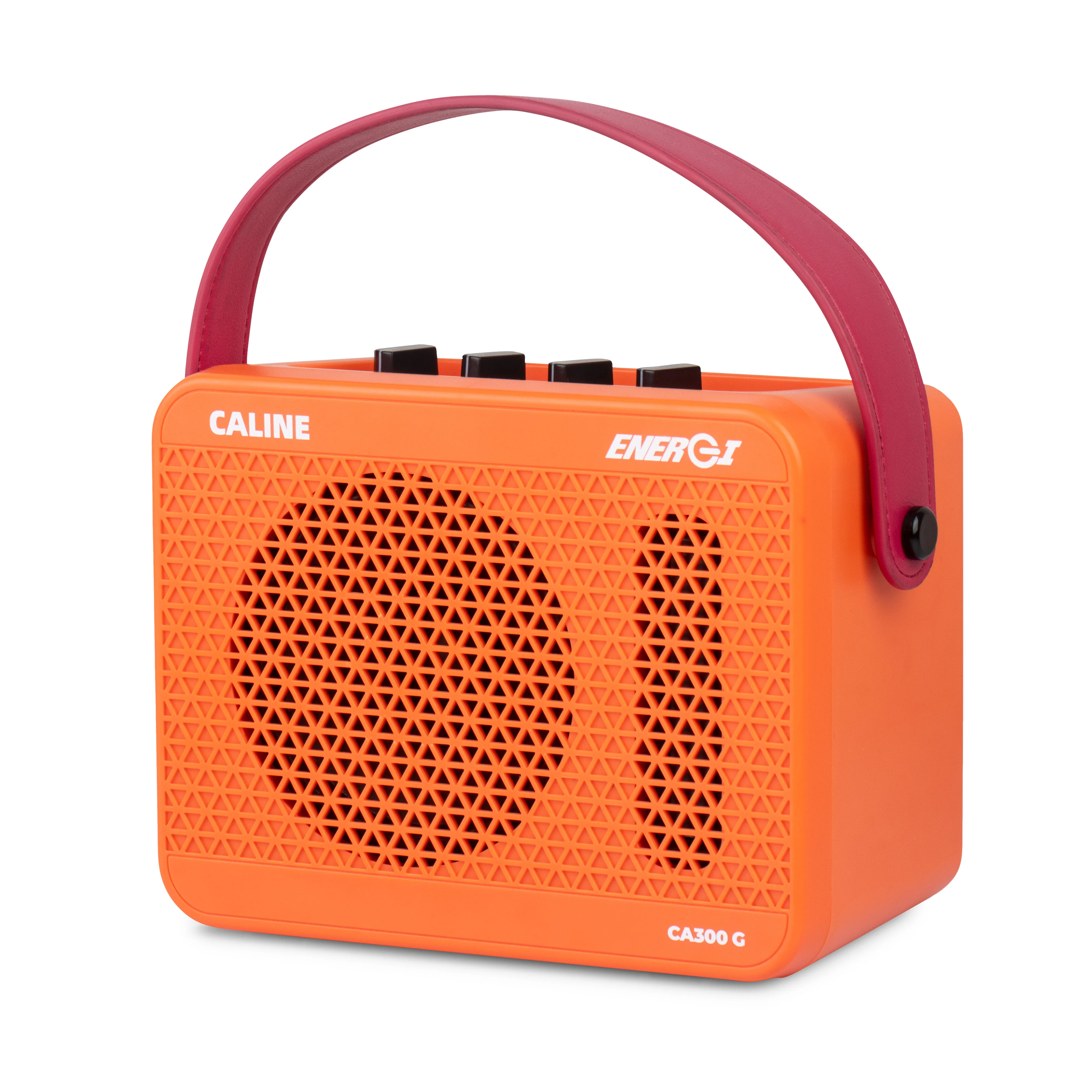 

Caline CA-300G 15W Electric Guitar Amplifier