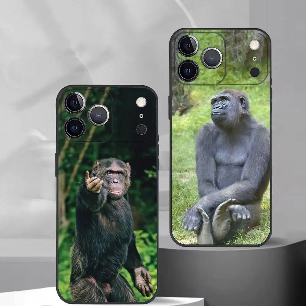 Funny Monkey M-Memes Phone Case For iPhone 17,16,15,14,13,12,11 Plus,Pro Max,XS,Soft Silicone Black Cover
