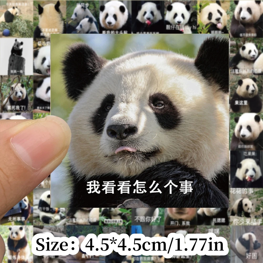 62pcs Cute Panda Graffiti stickers Notebook stationery decoration, personalized and creative DIY waterproof stickers