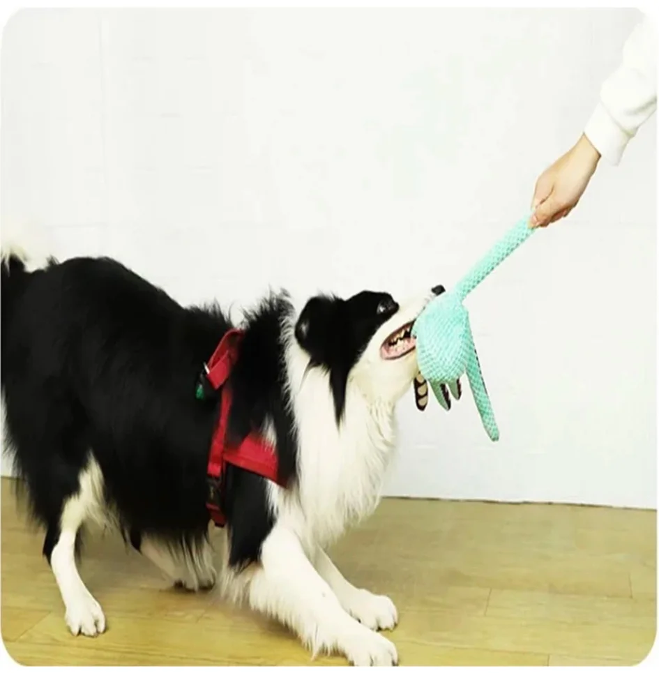 Dog pet plush octopus toy interactive sound anti-demolition home large and small dog boredom companion toy - Image 3
