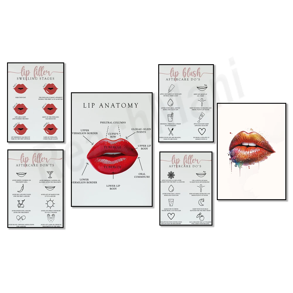 Lip anatomy, lip filler aftercare, lip syringe, lip enhancement, lips, beauty salon wall decoration, permanent makeup poster,