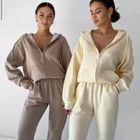 Casual Long Sleeve Zipper Open Cardigan Sportswear Set Two Pieces Women's Autumn Winter New Style Fashion Comfortable Outfit