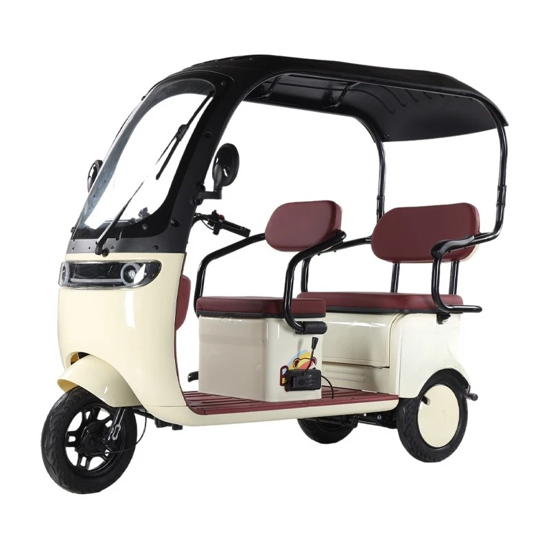 

3-Wheeler Thickened Frame Cargo Electric Bicycle Family Use Tricycle Bicycle