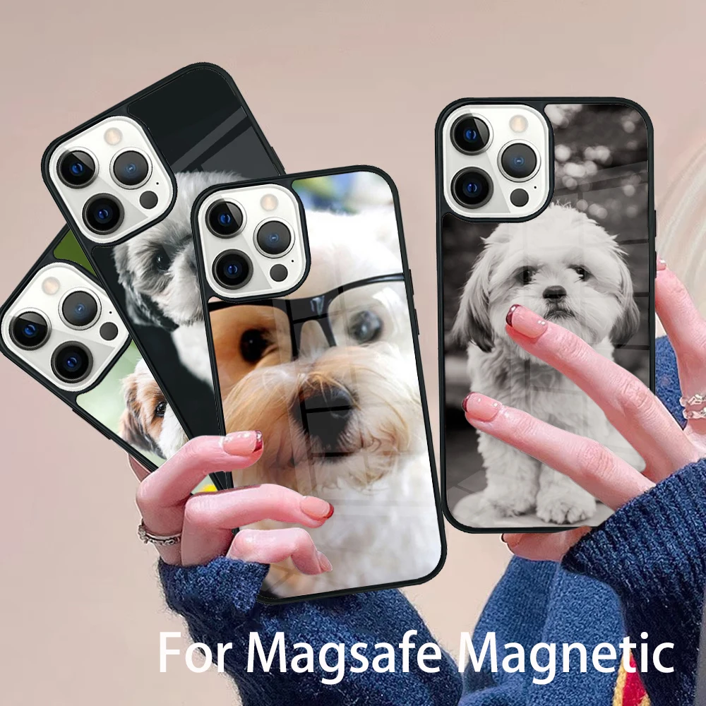 

Happy St Shih Tzu Day Funny Phone Case Magesafe Magnetic Wireless Charge Cover For IPhone 16 11 12 13 14 15 Pro Max Plus Mini