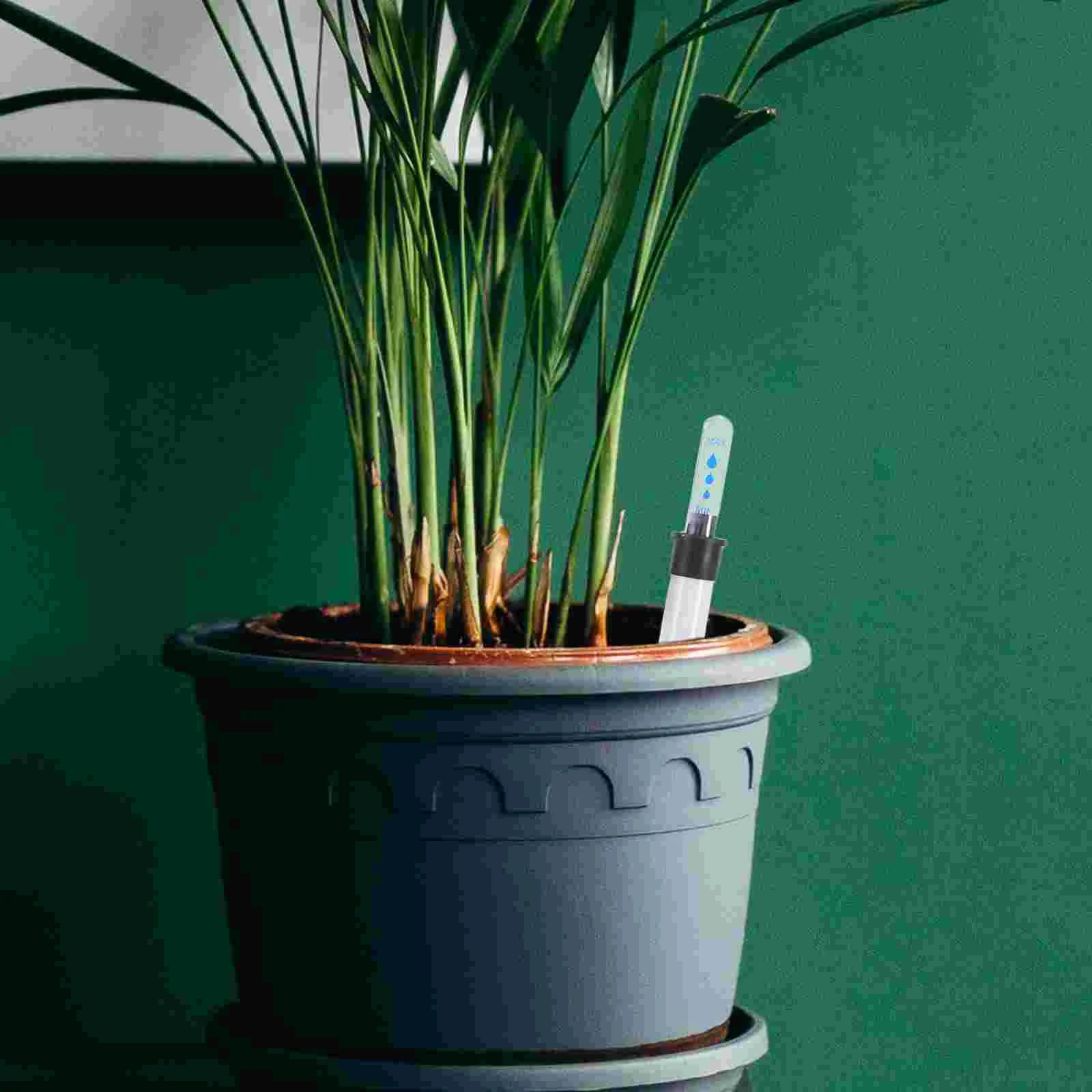 5 unidades Escala de Nivel de Agua Indicador de Plantas Medidor Recordatorio para Maceta Dispositivos de Prueba Varillas para Tanque Ventana Visual Flotador