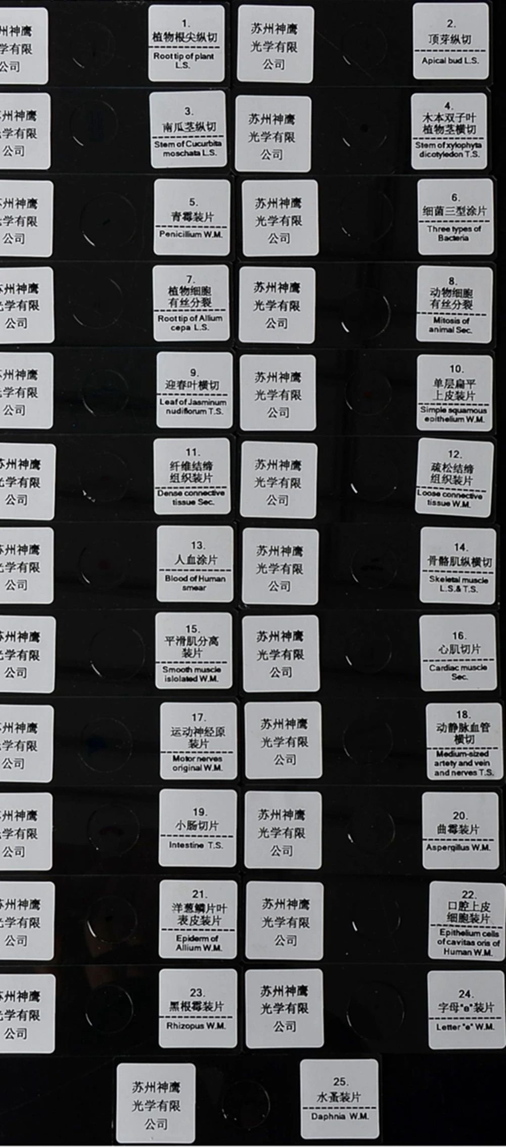 25PC Slices Microscope Slides Plants Animal Human Tissue Specimen Water Flea Sample Section Biological Permanent Slicing Lab