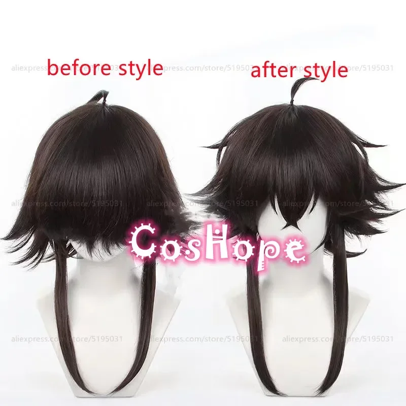 Tetchou Suehiro Cosplay Wig 50cm Short Wig Brown Wig Cosplay Anime Cosplay Wigs Heat Resistant Synthetic Wigs