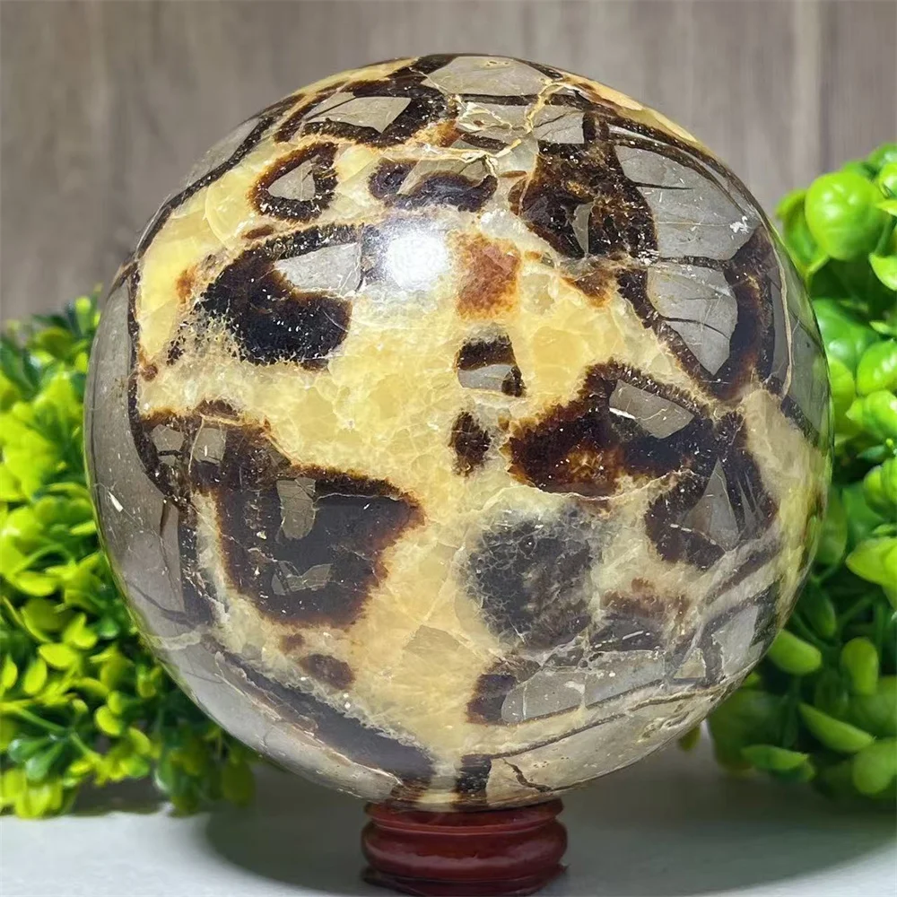 Septarium Beetle Stone Mineral Crystal Natural Quartz Spiritual Specimen Flash Gemstones Reiki Home Decoration+Stand