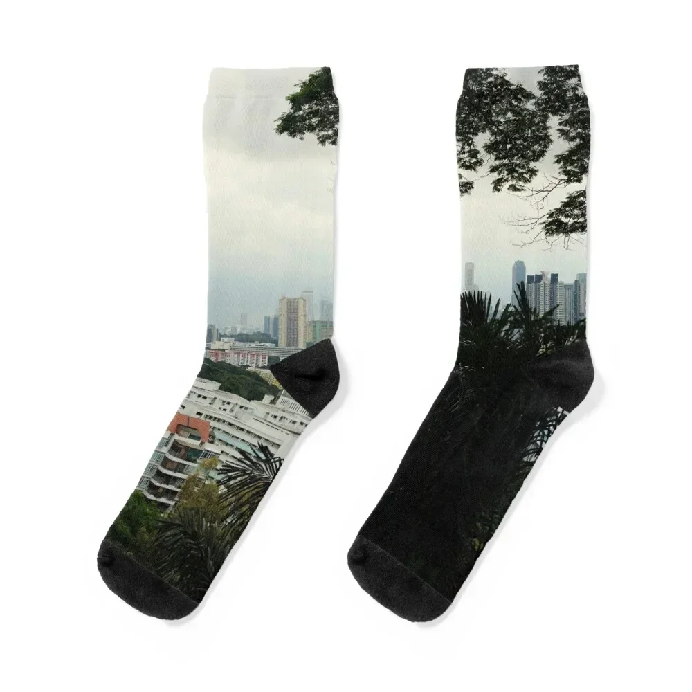 

View of Singapore Socks aesthetic sheer luxe Women's Socks Men's