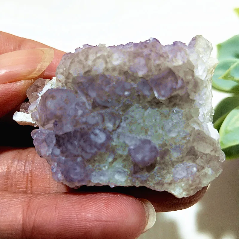 الأحجار الطبيعية فلوريت كريستال دروز متبادل عناقيد كريستالية عينة معدنية التأمل الفودو الطاقة فنغ شوي الديكور #5