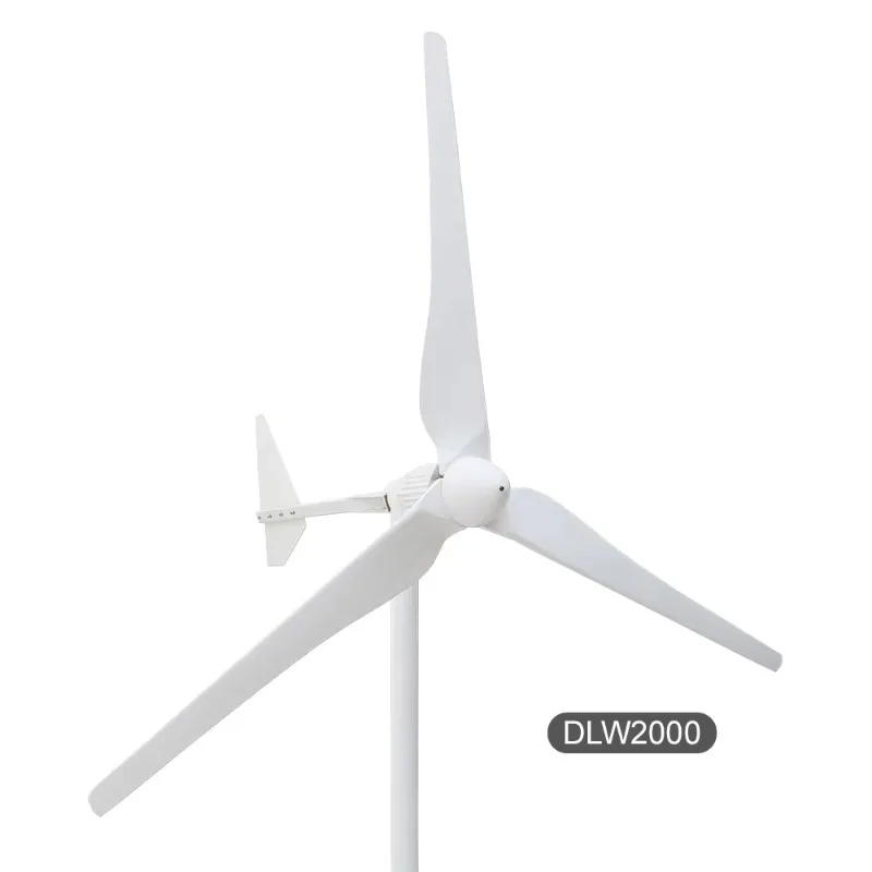 

High Quality Wind Electricity Generator 1000w Mini Wind Generator