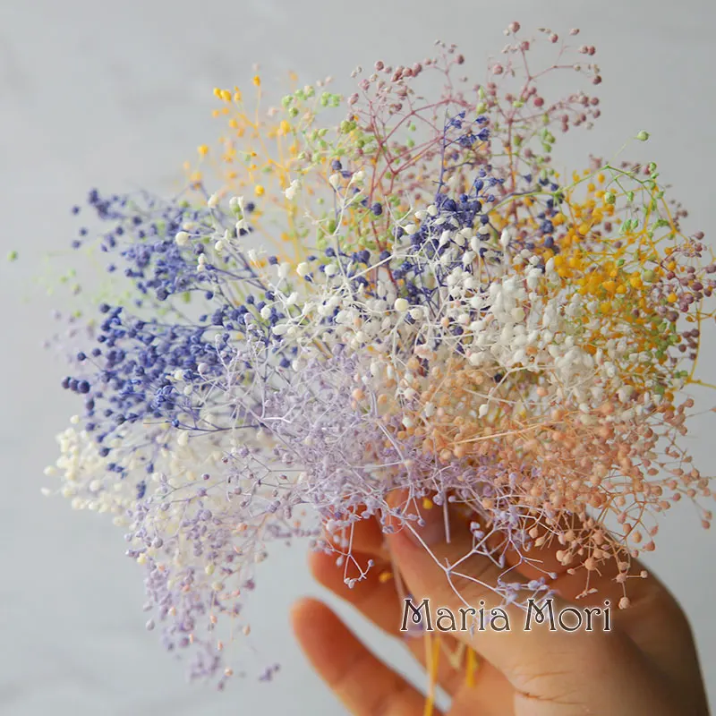 

5g/Mini Baby Breath Dried Preserved Flowers For Home Decor DIY Flower for Aromatherapy Candle for Resin Fillings Nail Art Home