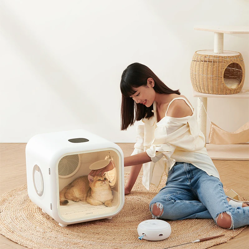 Caja de secado inteligente automática para mascotas, secador de pelo para gatos, perros, agua de baño