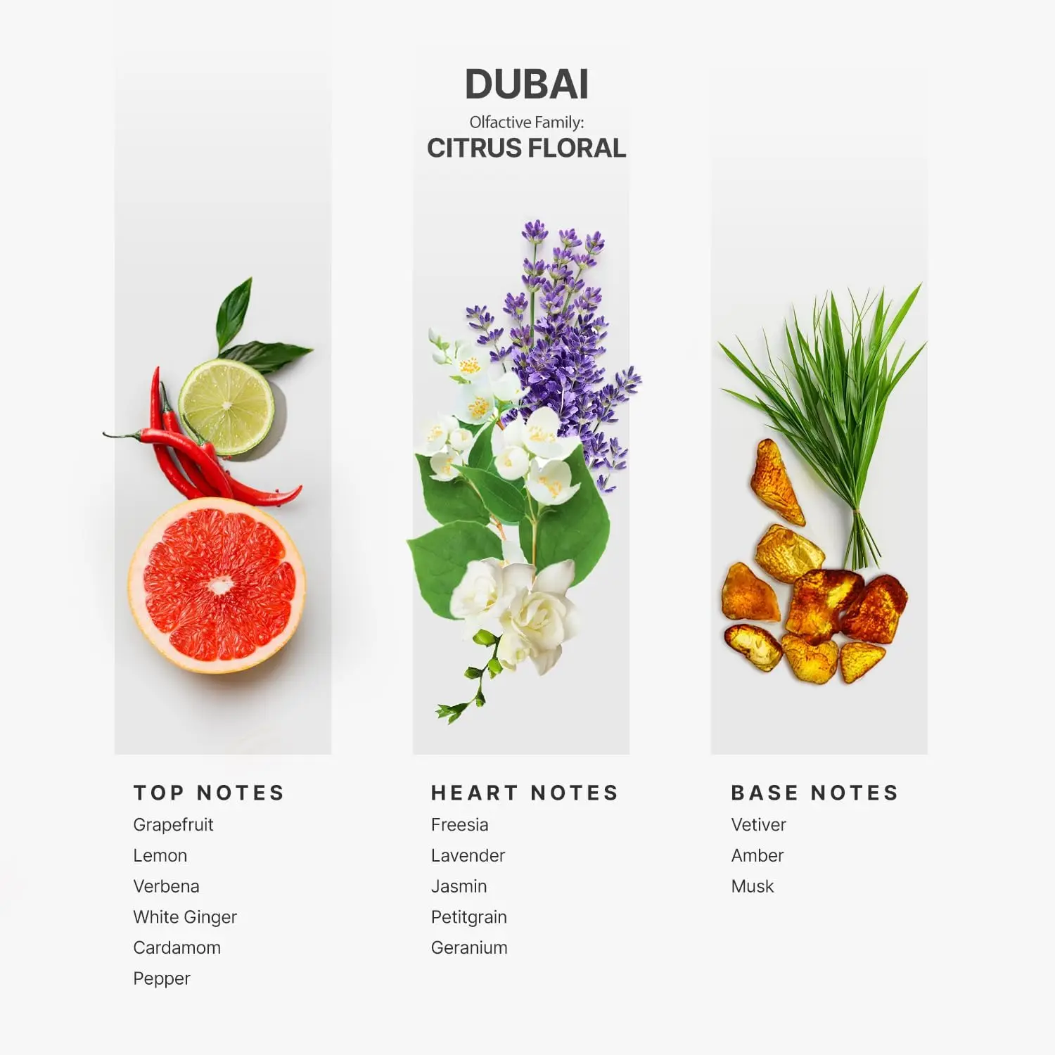 Hotel Scents Dubai 16 Fl Oz (473ml), Home Luxury Aroma & Hotel Collection Diffuser Oil- Hotel Diffuser Oil for Aromath