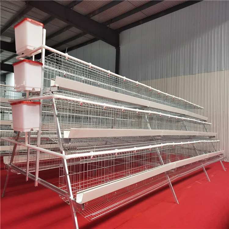 Layer Breeding Layers House Coop Farm Battery Cages Poultry Farming Broilers a Type Broiler Egg Chickens Cage for Chicken
