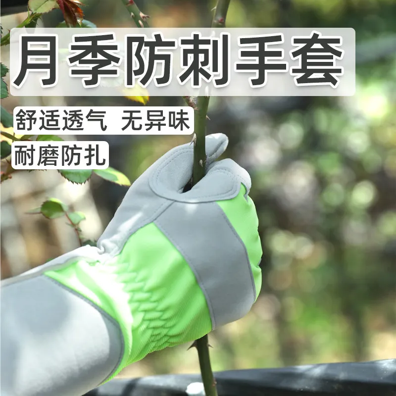 Garden protection gardening flower planting stab-proof gloves