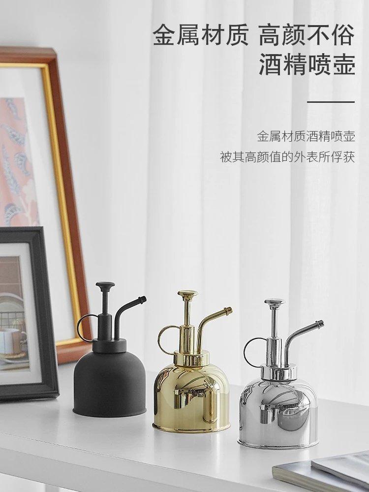 Brass small watering can for flower watering Metal fleshy spray 304 stainless steel pressure golden watering can