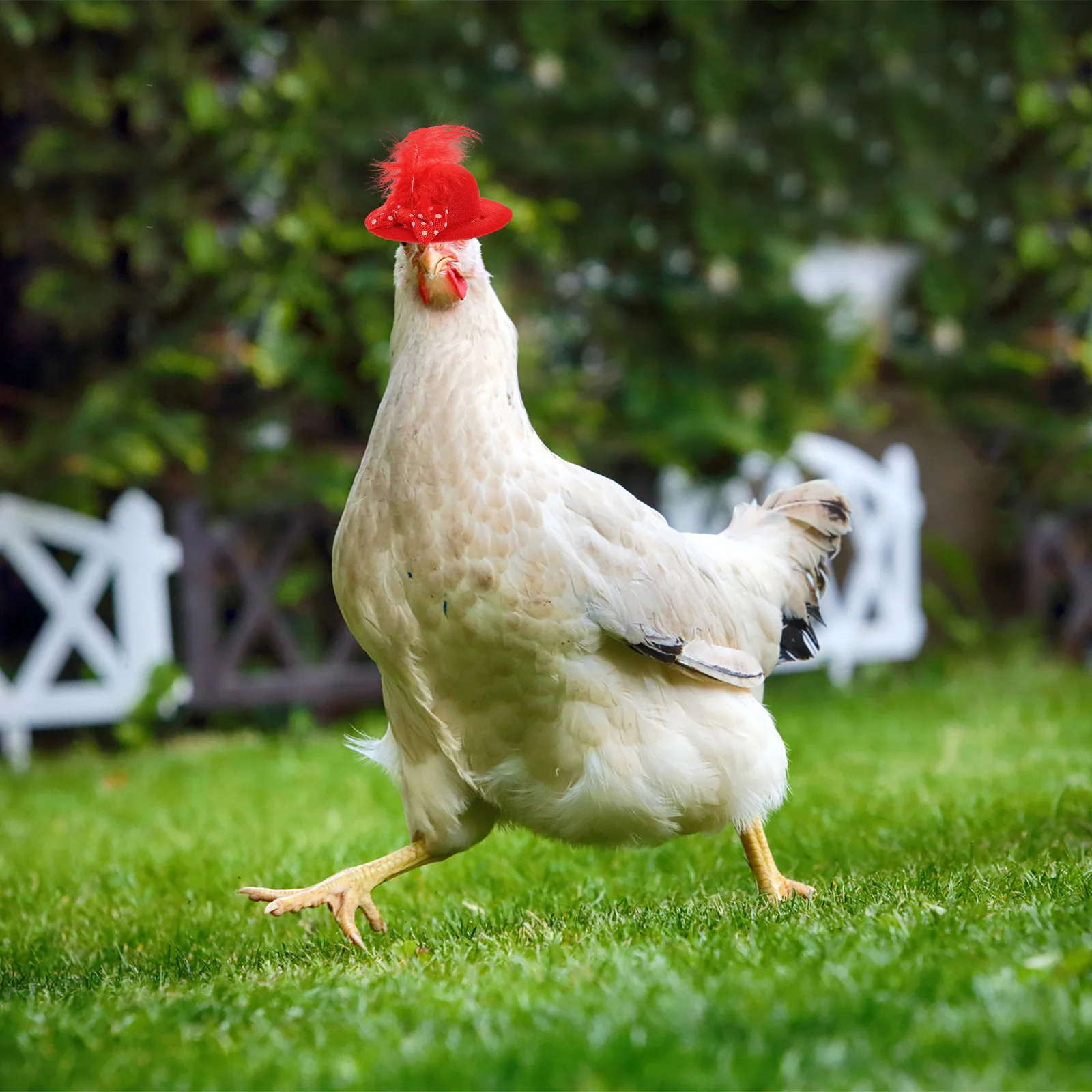 

2Pcs Mini Chicken Hats Adjustable Hen Cap Elastic Chin Strap Small Animal Bird Hat Cute Decorative Photo Prop Chicken Hats