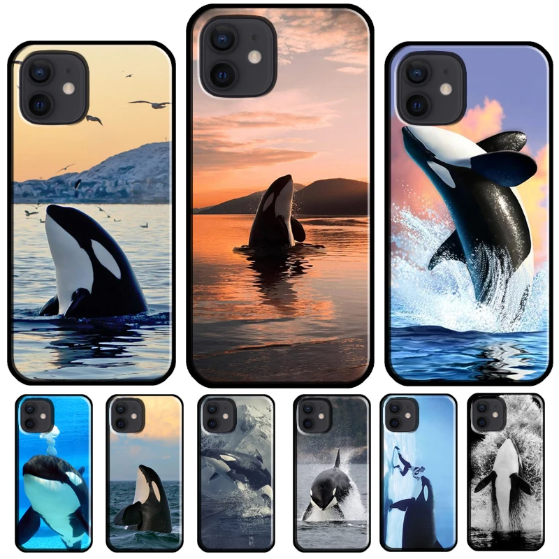 Max Wal Schutz für Ihr iPhone – Der ultimative Case für Sicherheit und Stil