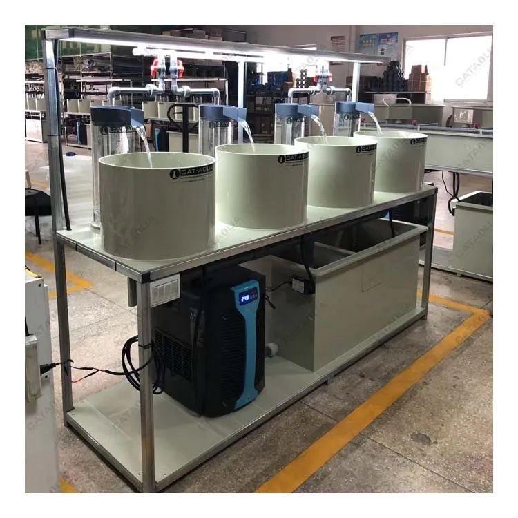 Sophisticated Fish Hatchery System Tilapia Fish Hatchery Equipment New Roe Fish s