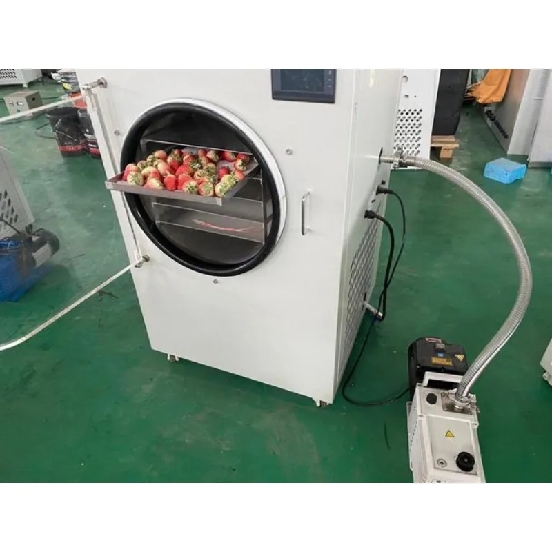 Customized Premium Freeze Dryer for Fruits Vegetables with Built in Vacuum Pump and Adjustable Temperature