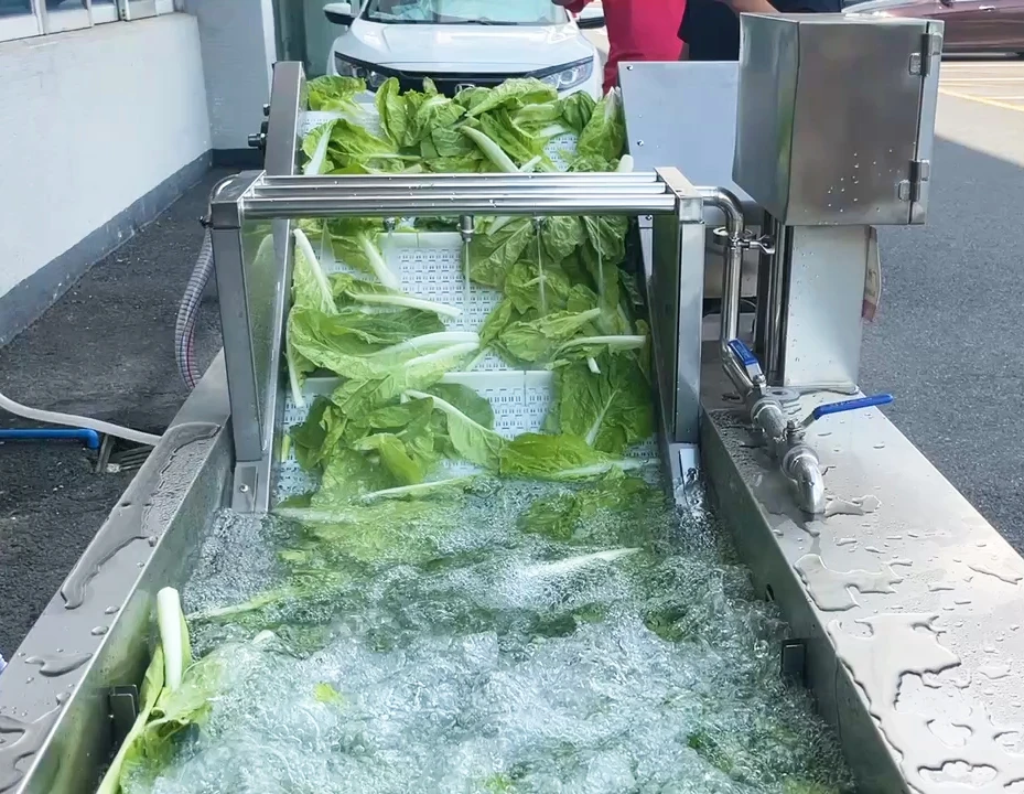果物と野菜の洗濯機,果物の洗濯機,野菜の掃除機