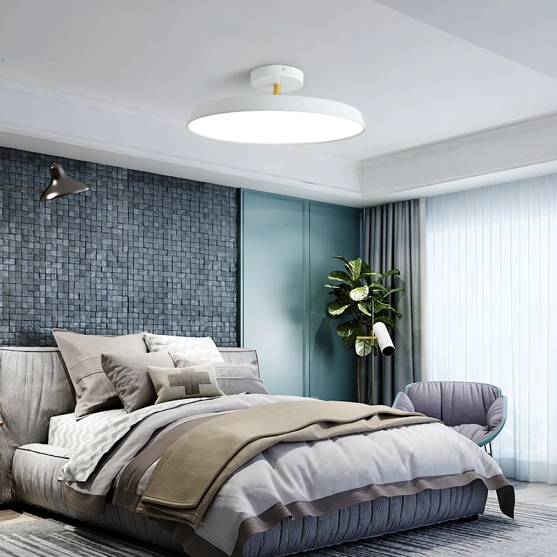 Nordic Designer Minimalist Circular LED Ceiling Light Bedroom Study Corridor Balcony Cloakroom Chandelier Ultra-thin Decoration image 2