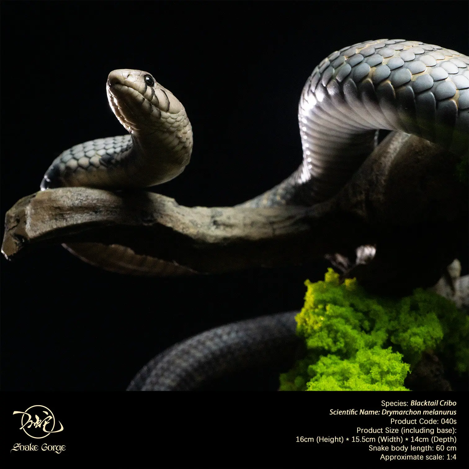Snakegorge Studio 1:4 Scale Blacktail Cribo Snake Model Central American Indigo Snake Miniature Landscape Realistic Decor 040S