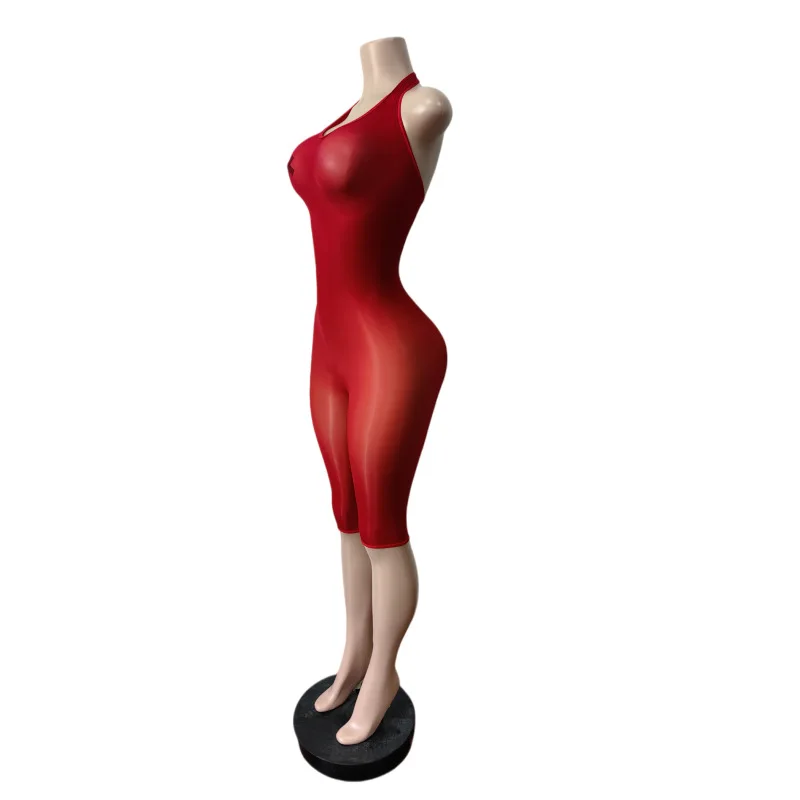 Sexy Sommer-Damen-Mesh-Jumpsuits Durchsichtige Neckholder-Overalls Ärmellose Figurbetonte Dehnbare Einteiler Nachtclub-Kleidung Playsuit – Detail 8