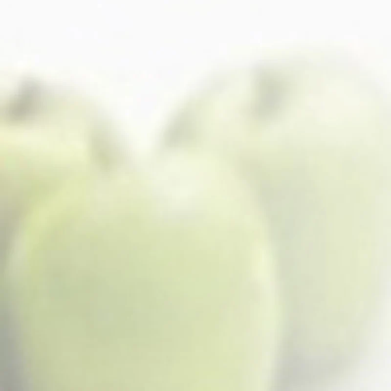 

Электрическая мясорубка из нержавеющей стали для говядины и рыбы, измельчитель мяса