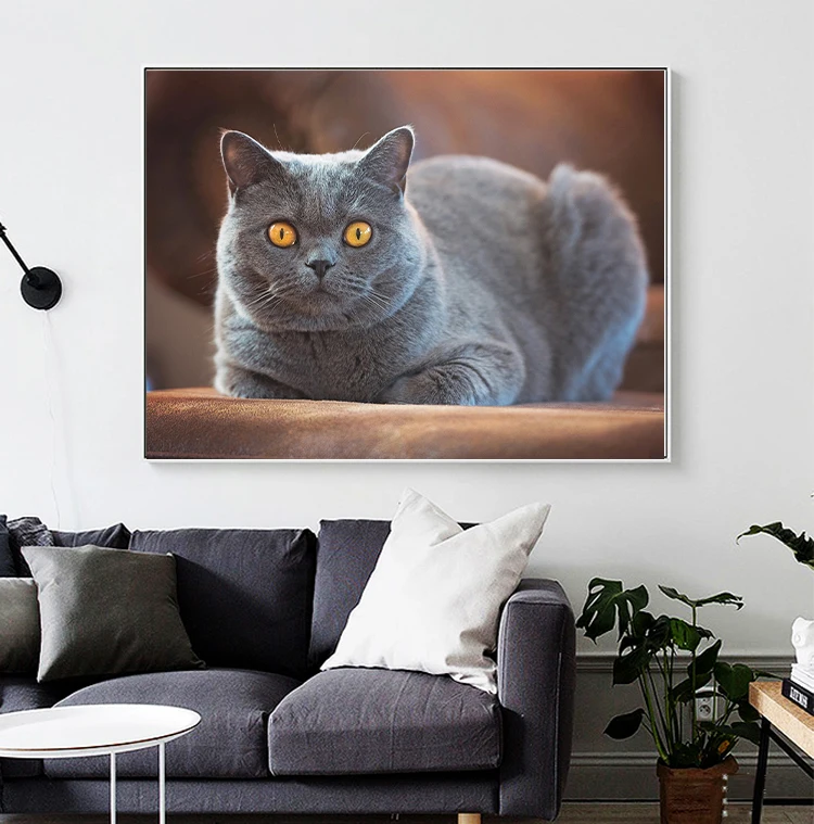 Animal 5D Diamond Painting Gray Cat with Golden Eyes Diamond Painting Inlaid with Diamonds Embroidery Painting Home Decoration