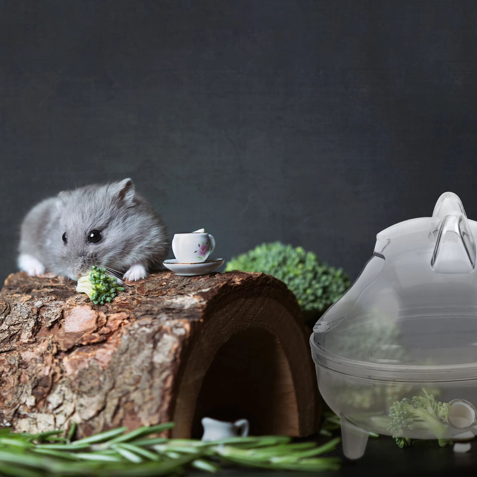 

Semi-Closed Hamster Bath Box Resistant Easy Clean Small Pet Bathroom Chinchilla Gerbil Cage Accessory Hamster Sand