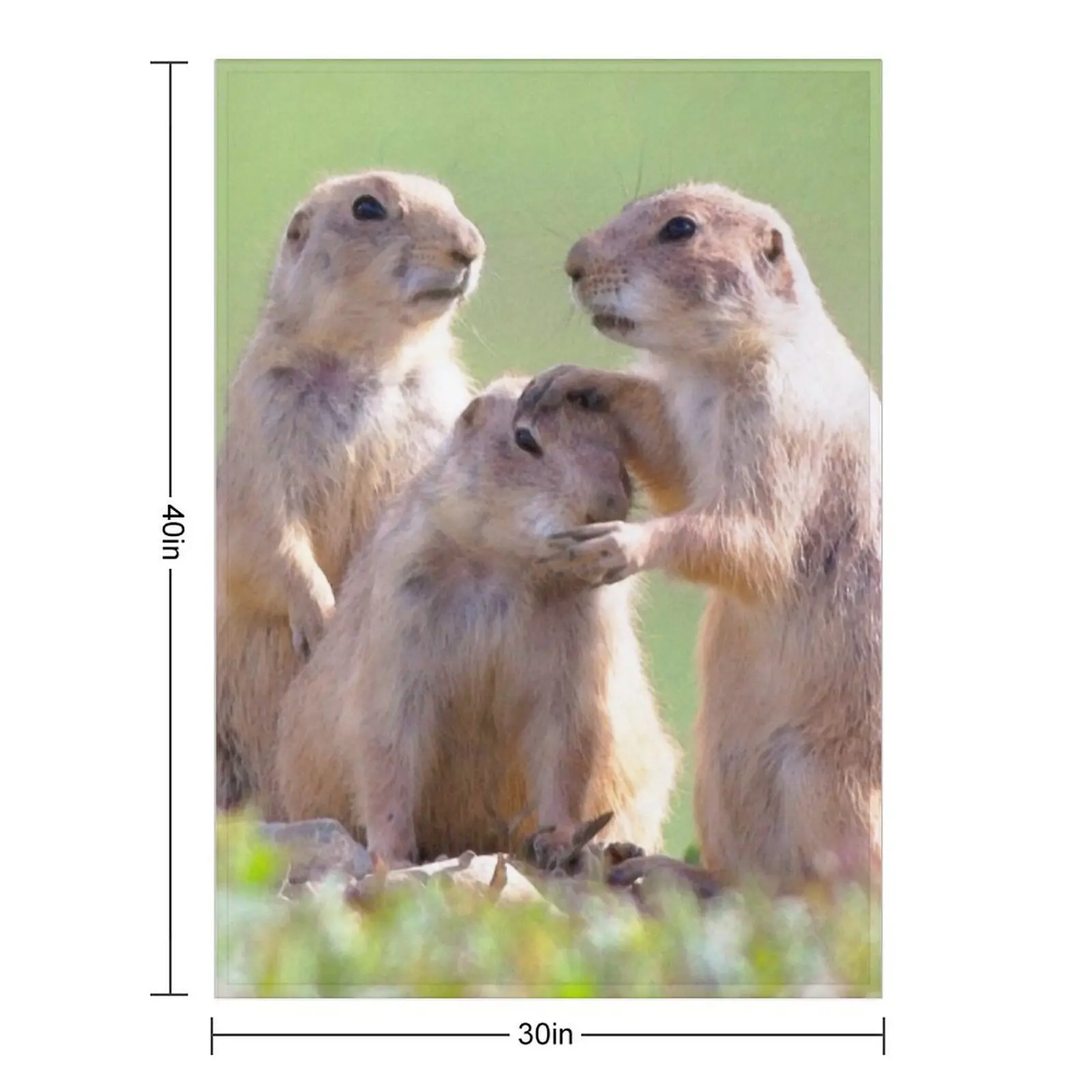 Watercolor Prarie Dog 08, Boulder County, Colorado, Good Job Throw Blanket Moving Plaid Weighted cosplay anime Blankets