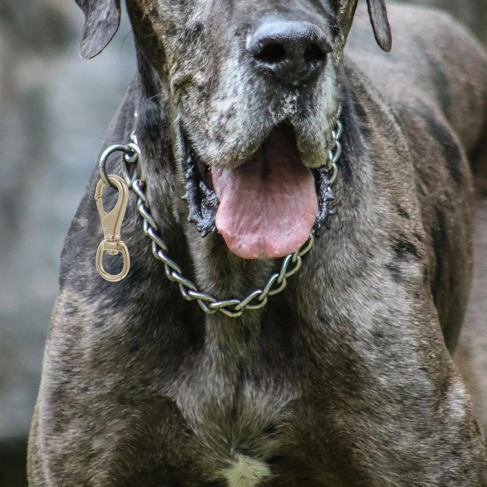 

4Pcs Solid Brass Swivel Hook Round Tail Rotating Clip for Lanyard Bag Strap Chain Key Ring Harness Anchor Line Lobster Clasp