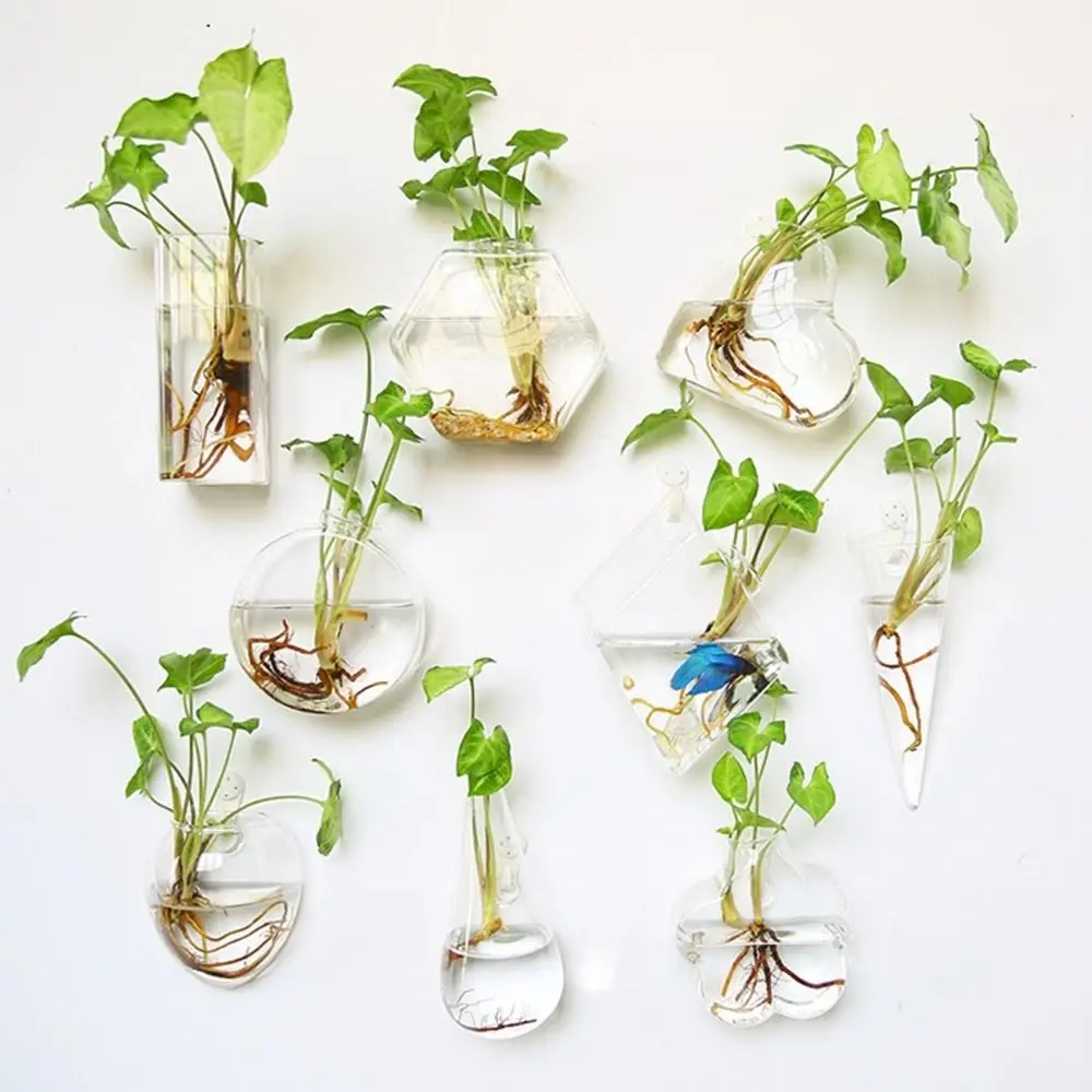 Hydroponic Plants Purify House Fish Tank Irregular Shape Wall-mounted Hydroponic Vase Flower Vase Flower Pot Plant Container - view 3