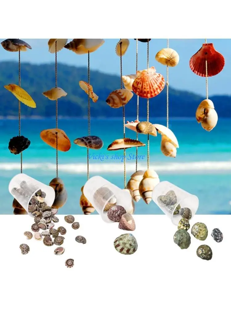 Природные-океанские-ракушки-для-ремесленных-наборов-уникальные-раковины-проекты